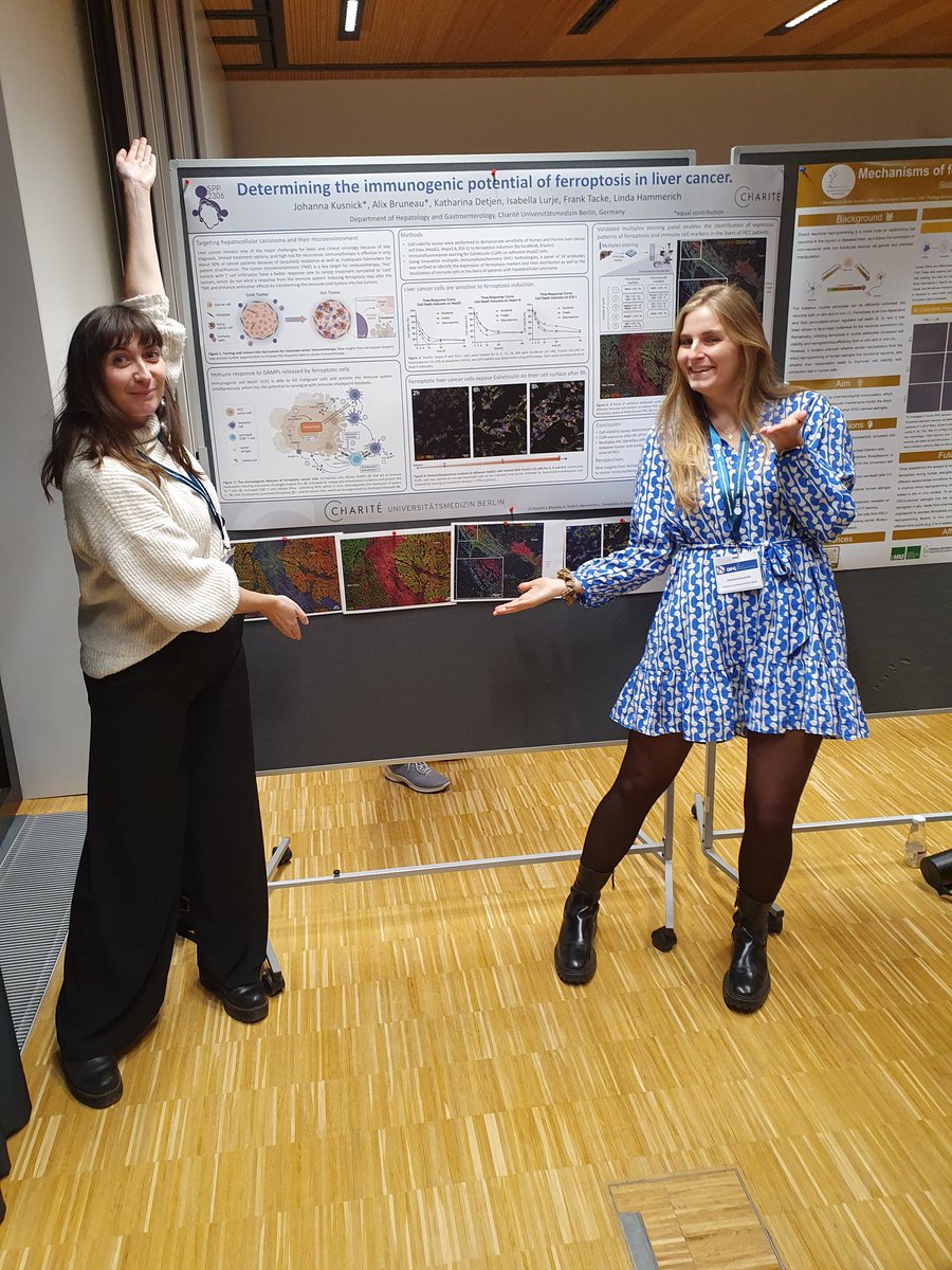 Linda Hammerich (@flt3linda) on Twitter photo Just some of our rising stars (<a href="/JohannaKusnick/">Johanna Kusnick</a> AlixBruneau) having fun presenting their data at the annual meeting of <a href="/Ferroptosis2306/">Ferroptosis (SPP 2306)</a> #ferroptosis #immunogeniccelldeath #curinglivercancer Just some of our rising stars (<a href="/JohannaKusnick/">Johanna Kusnick</a> AlixBruneau) having fun presenting their data at the annual meeting of <a href="/Ferroptosis2306/">Ferroptosis (SPP 2306)</a> #ferroptosis #immunogeniccelldeath #curinglivercancer