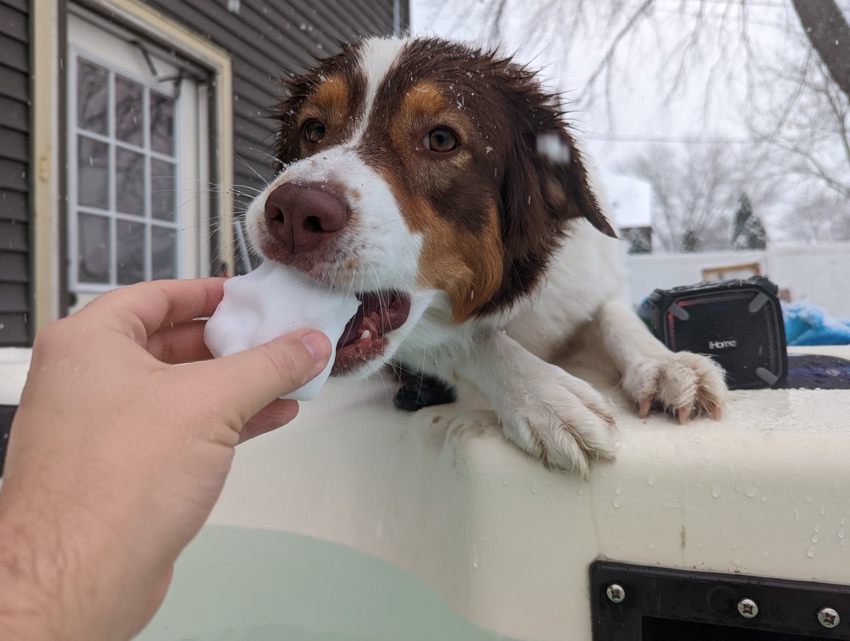 Joshua David Parr (@joshuadparr) on Twitter photo Listening to <a href="/DanODonnellShow/">Dan O'Donnell</a>, soaking in the hot tub, playing with Layla, and enjoying the winter beauty! This is the life!! Listening to <a href="/DanODonnellShow/">Dan O'Donnell</a>, soaking in the hot tub, playing with Layla, and enjoying the winter beauty! This is the life!!