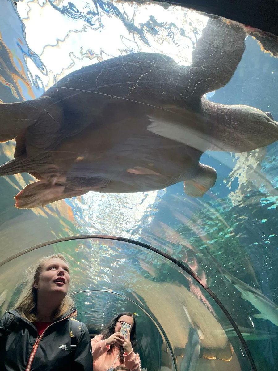 RoseRoadAssociation tweet media