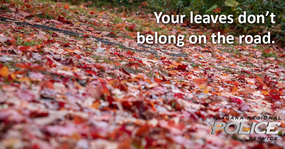 NiagRegPolice's tweet image. Now that the leaves have mostly fallen, #DidYouKnow that they pose unsafe, hazardous braking conditions for cars on the road? 

Please don’t blow your leaves onto the road, and choose to compost them or use brown yard waste bags instead. 

#RoadSafety #FallTips