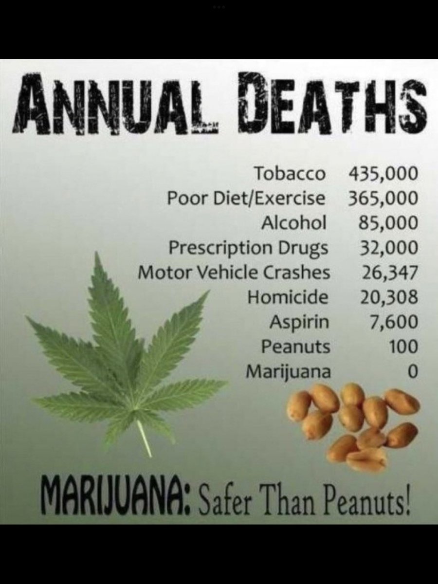 junglejava1's tweet photo. @RepNancyMace Thank you @NancyMace for getting the clarification on how many overdose deaths were related to cannabis on the record 👏 https://t.co/RwdINU8tN8