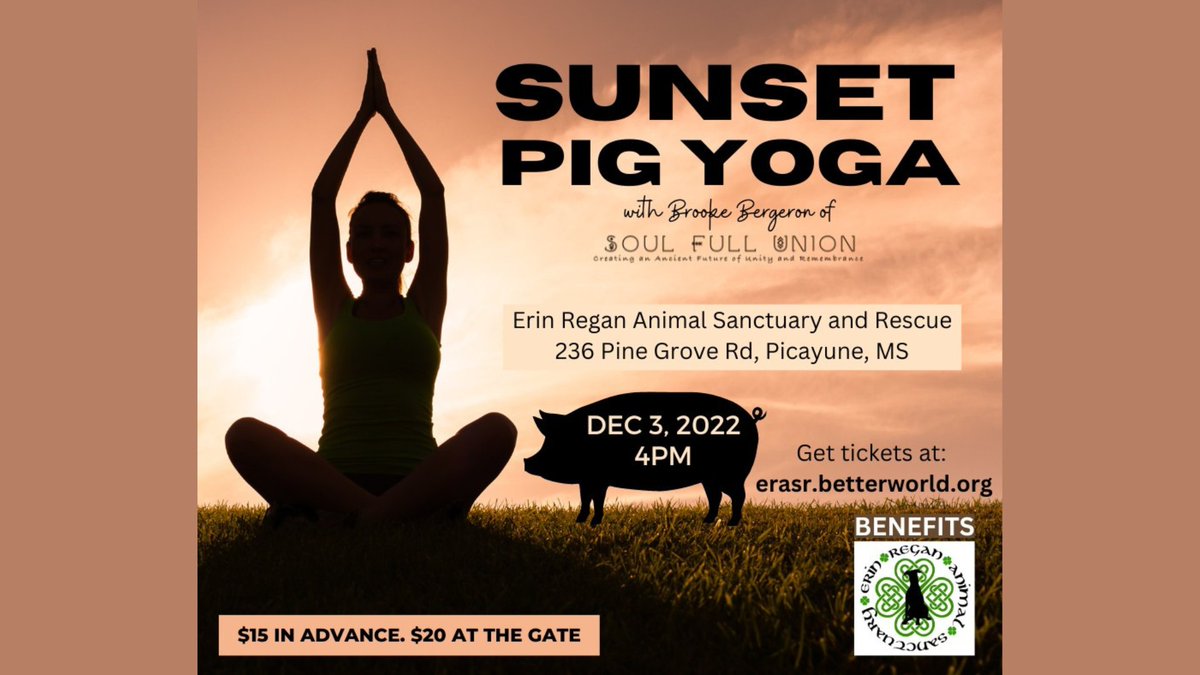 ERrescue's tweet photo. If you're in the gulf coast region, come on down to our sanctuary for sunset yoga with our potbelly pigs 🐷🧘 All proceeds will be going toward our animals! 

Buy your tickets: https://t.co/ugoAba1tFP https://t.co/hoqxZGa13I