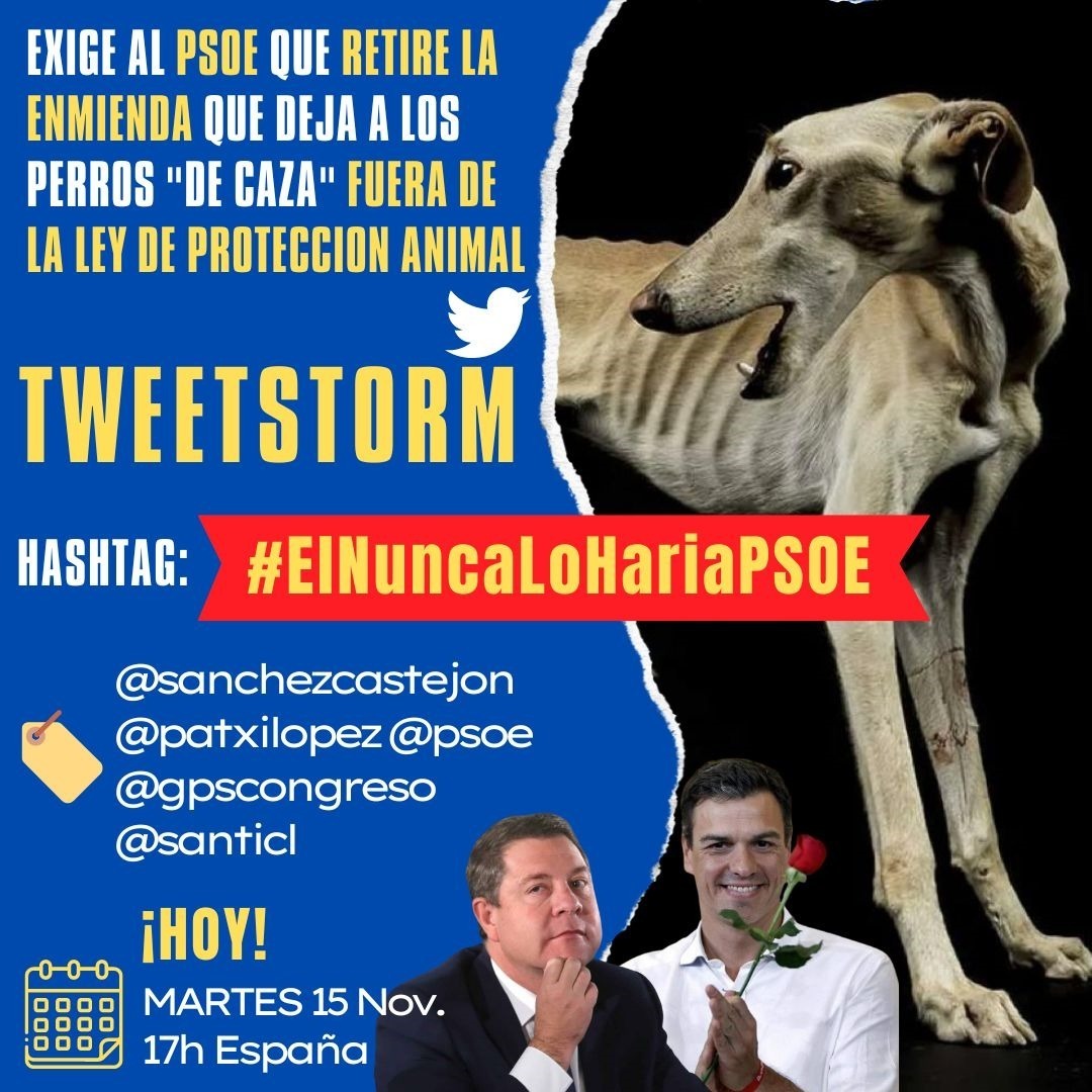 Ellin_Jensen's tweet photo. #ElNuncaLoHariaPSOE @sanchezcastejon @patxilopez @PSOE @gpscongreso @santicl https://t.co/X3o180ittt