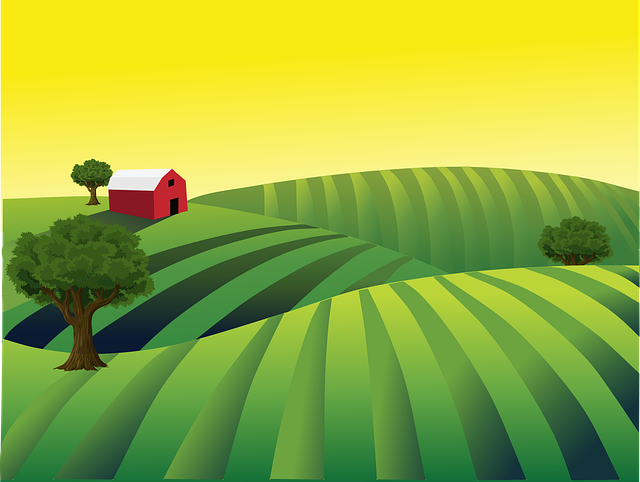 TimDWare's tweet photo. Harvest Season?  💭What if it REALLY is? -  https://t.co/1XPyyTV83O - Where are you spending most of your energy -- in the Barn or in the Fields? https://t.co/oixheZc1xU