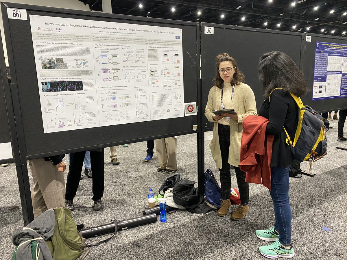 InnerEar_MBL tweet media