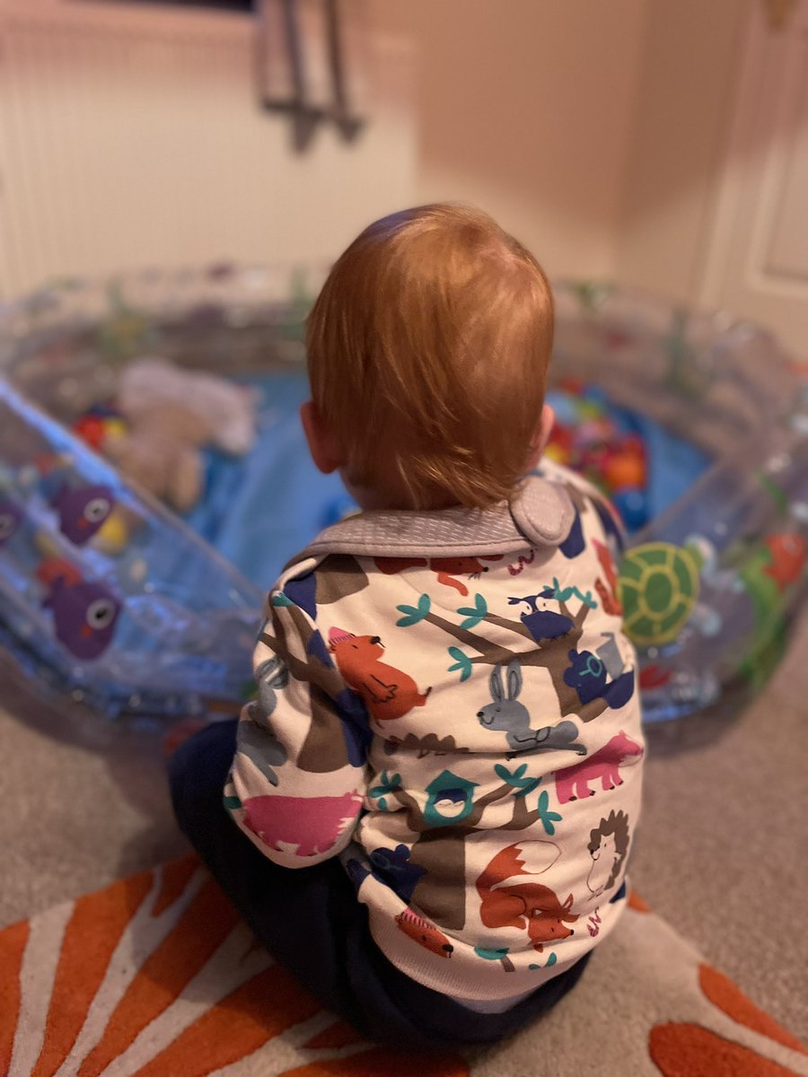 Not tweeted in nearly a year! Been a bit busy playing in a paddling pool in the living room. Time to get that green OT brain thinking again 🧠 
Hit me with new people to follow #teamOT #OT #occupationaltherapy