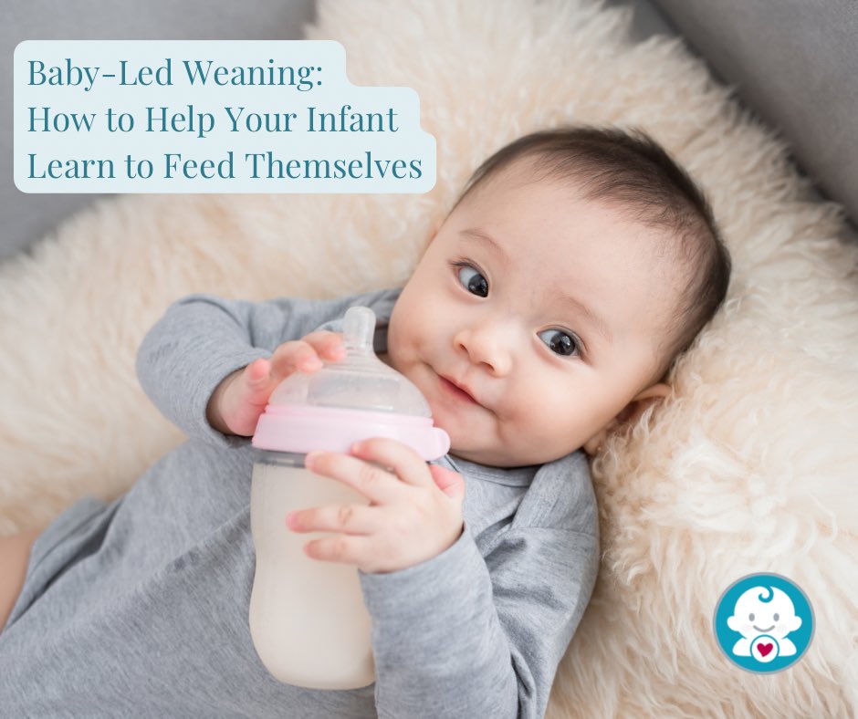 anbbaby's tweet photo. Baby-Led Weaning: How to Help Your Infant Learn to Feed Themselves   Baby-led weaning involves skipping purees and moving straight to finger foods. Here’s why you might want to consider it — and how to get started. 

READ MORE 

https://t.co/WkTfQy6bwD

#anbbaby #baby https://t.co/9inXWjrwQb
