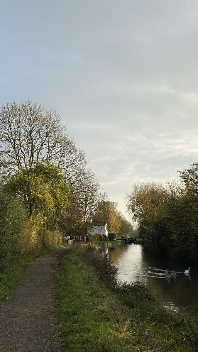 Fuzzboy_'s tweet image. Day 4