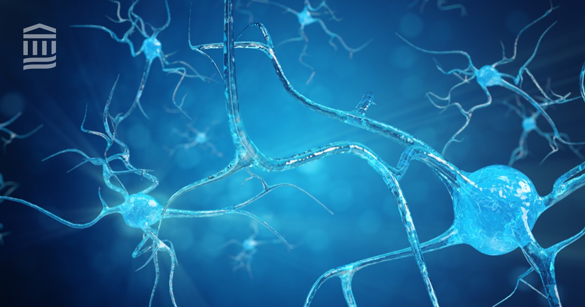 MassGeneral News (@massgeneralnews) on Twitter photo .<a href="/SepulcreLab/">Jorge Sepulcre Lab</a> and colleagues found that an #MRI shows how #ParkinsonsDisease (PD) disrupts neuronal circuits. Learn how these results lay the foundation for studying functional network reorganization at different stages of PD: spklr.io/6010iaGi .<a href="/SepulcreLab/">Jorge Sepulcre Lab</a> and colleagues found that an #MRI shows how #ParkinsonsDisease (PD) disrupts neuronal circuits. Learn how these results lay the foundation for studying functional network reorganization at different stages of PD: spklr.io/6010iaGi