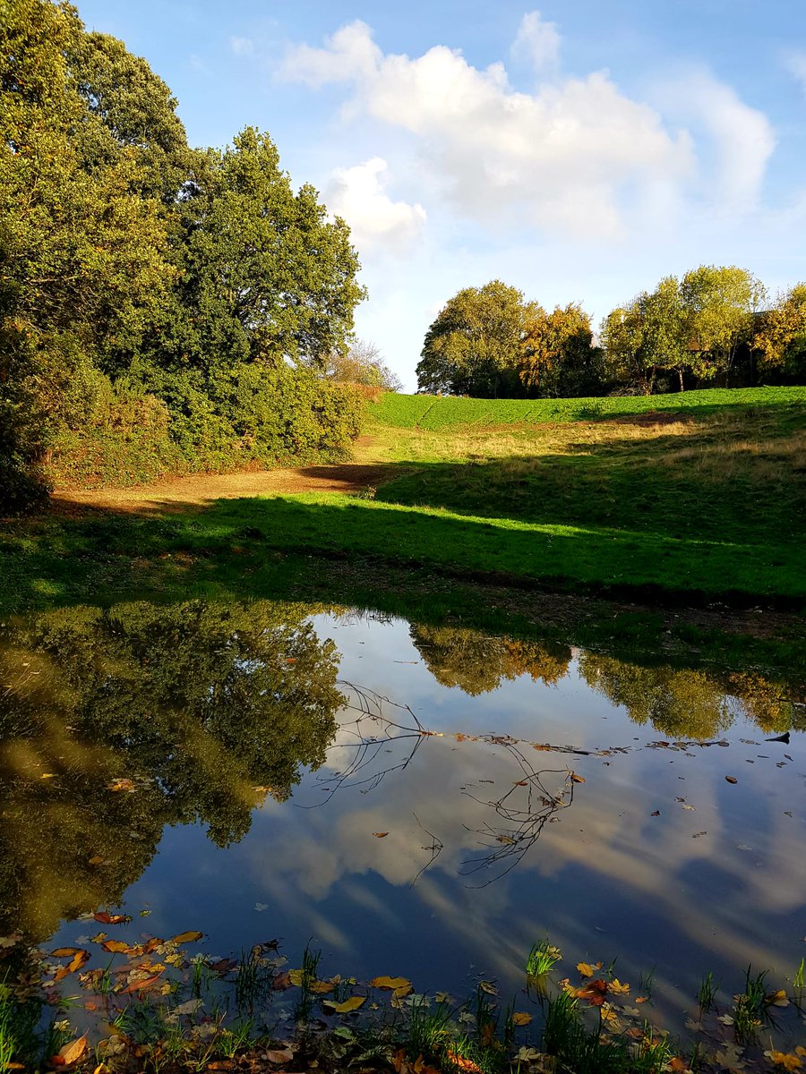 Much press interest in the restoration of Branch Hill Pond.

The Observer, Times Radio Drive, The Times and the Ham &amp; High are all running features.
redfrogassociation.org/uncategorized/…
Work in progress photo below courtesy of Susan Grossman