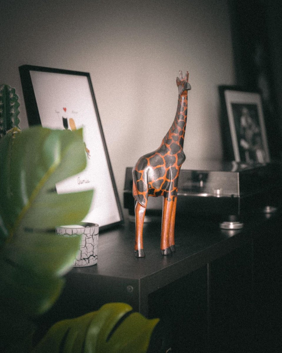 Il y certains objects qui ont une valeur spéciale. Tu te souviens du moment et de la personne qui te les a offerts. Mais surtout tu porte dans ton cœur la raison. Du Sénégal au Qatar, finalement on est là!

#Gom1s #Senegal #AllezlesLions #Qatar2022 #Worldcup