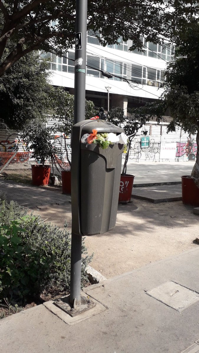 Umbral Polanco 🌳 tweet media