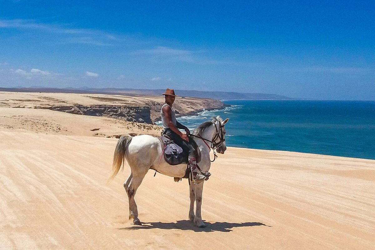 #Marocco Partez profiter du soleil et galoper sur les plages désertes ! 🔥 Départ garanti le 17/12
+ d’infos ? ➡️ tinyurl.com/yc6xjvbt
⌛️8 jrs (6 à cheval) | 🏇confirmé.e
#monaventureacheval