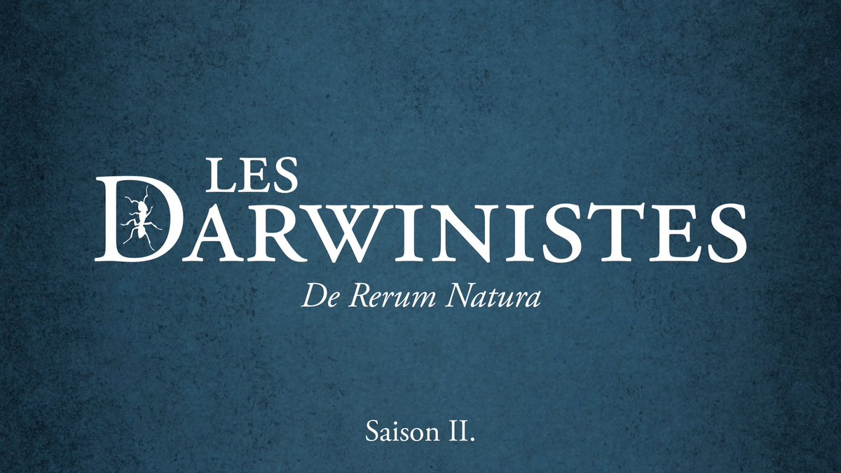 Maintenant sur toutes les plateformes. #LesDarwinistes