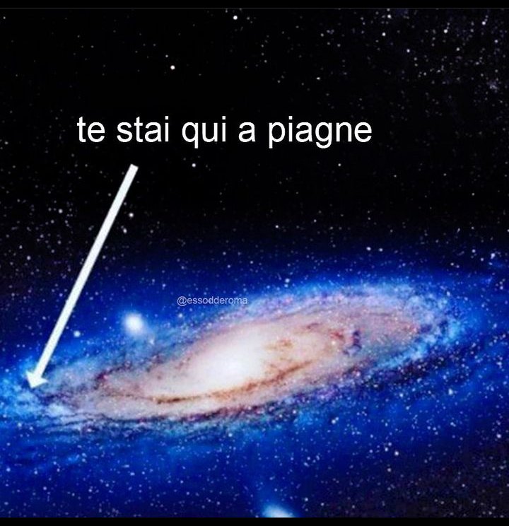 la lepre che sogna tweet media