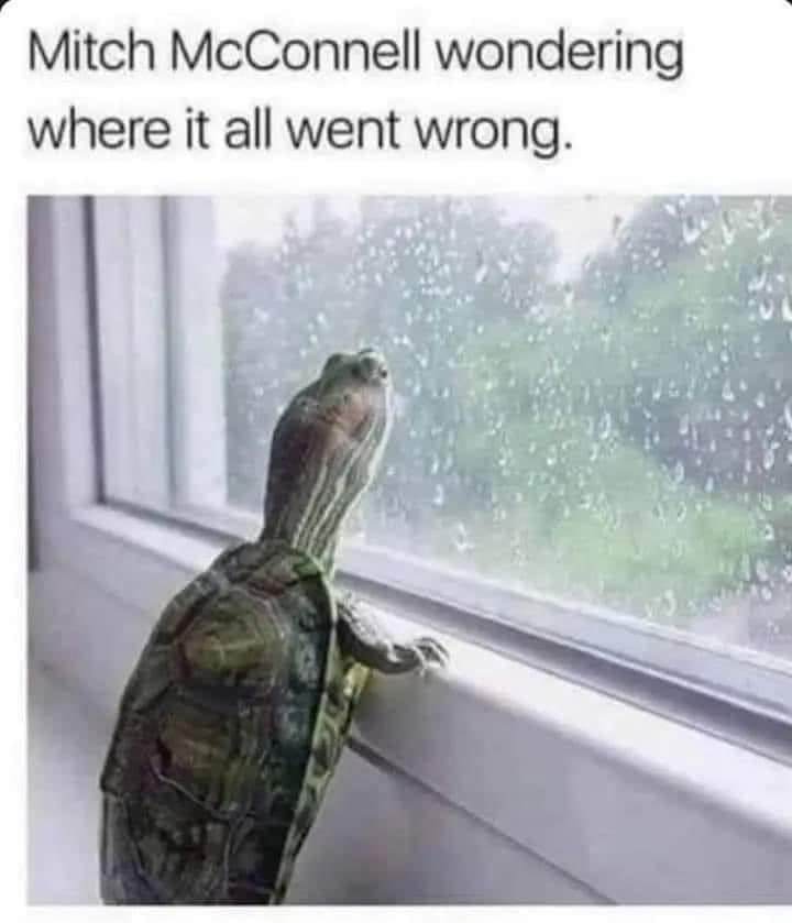 K.S. SnoByrd tweet media