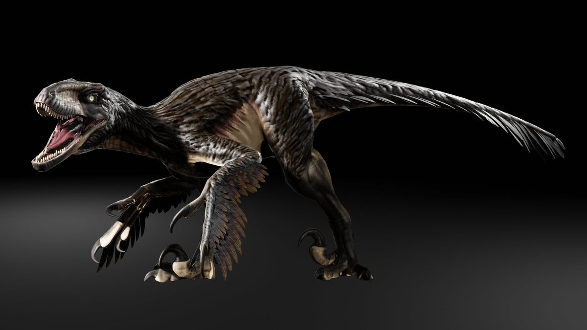 MikesMedia3D's tweet photo. Feathered version of the raptor I made back at the start of October.
 I wanted a design that could translate between a feathered and featherless variant. More in the replies... https://t.co/RoCZ8dkIrs