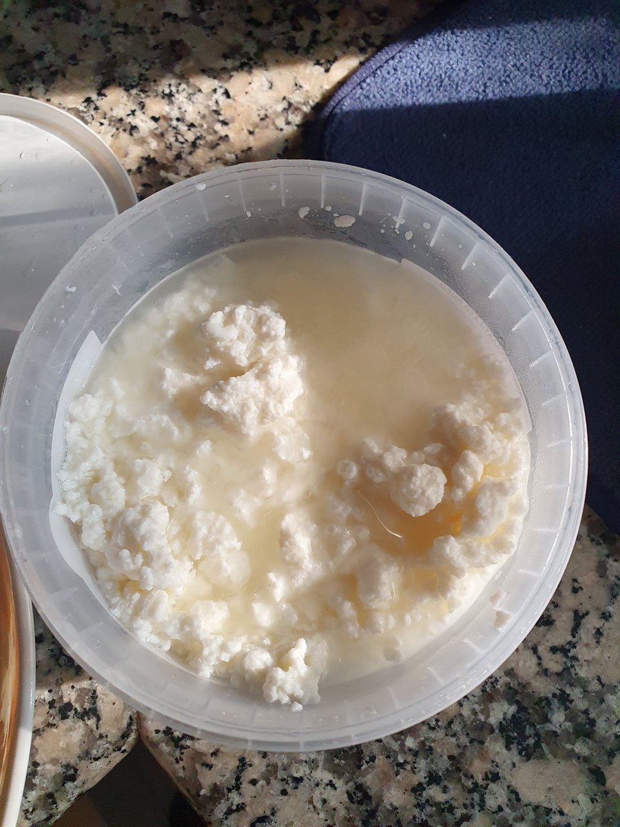 Fresh unsalted anari #cheese in whey from Siga ta Lahana market.

It awakened some of my most precious childhood memories.

You can have it sweet or savoury, cold or warm, I recommend having it warm with honey and cinammon.

How would you have it?

#food #cyprus #cypriotcuisine