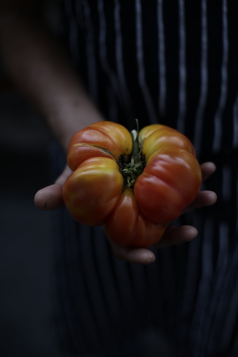 Si no se consiguen productos agroecológicos u orgánicos, podemos recurrir a condimentos, aceites y acetos para mejorar su sabor. t.ly/k88y #FernandoTrocca #tips #veggies #cocinar
