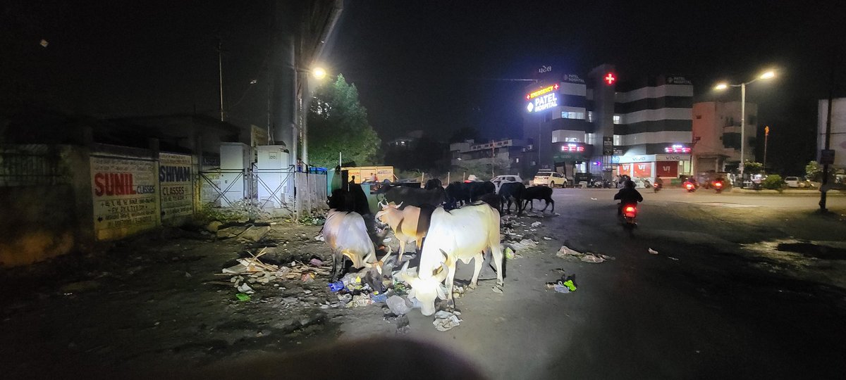 iamSiddharthD's tweet photo. @VMCVadodara Location - Gotri Talaav near water tank. 
Can you please do something about this menace? I've come back to Baroda after 3 years and this is still an issue. That too at a major intersection. Please work on it ASAP. 
Thanks. https://t.co/UoJPEHq8wL