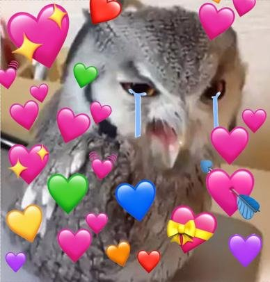 mixxie.⠀ crying and throwing up that i got doubled team by the same hunters in duos yesterday. fr i think they hated me. the cowboy who saved me ily so much fr i was crying.