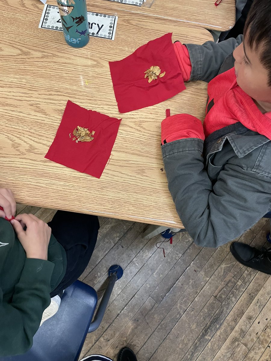 Alicia Coady tweet media