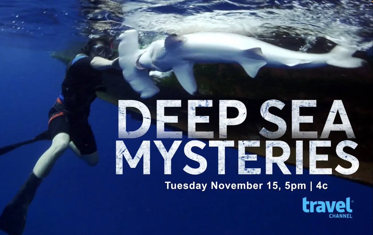 Holy smokes! I can’t believe it has already been 6 years since the pilot for my travel series aired. Even though we didn’t get picked up for a full season (maybe a little sharky for Travel), I absolutely loved the experience.