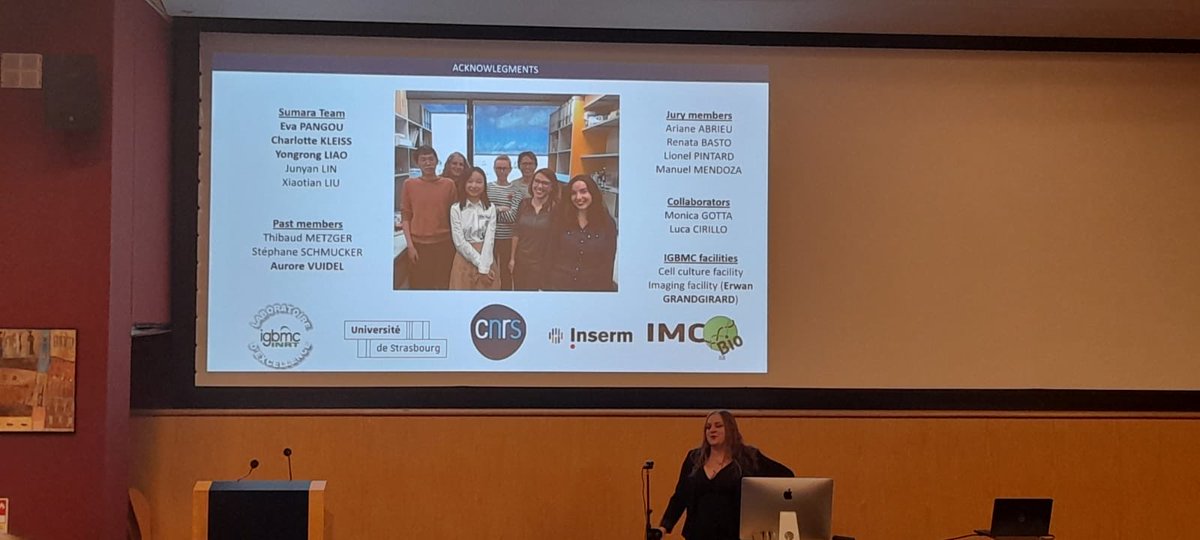 SumaraLab's tweet photo. Big congratulations to our freshly made Dr. Lucile Guerber ⁦@LucileG2⁩ 👏🎉🍾 Many thanks to the jury Manuel Mendoza ⁦@longchrom⁩ Lionel Pintard⁩ ⁦@liopintard⁩ Renata Basto ⁦⁩ ⁦@basto_lab⁩ and with us remotely Ariene Abrieu ⁦@ArianeAbrieu⁩ ❤️ https://t.co/RFa7Uz32hh