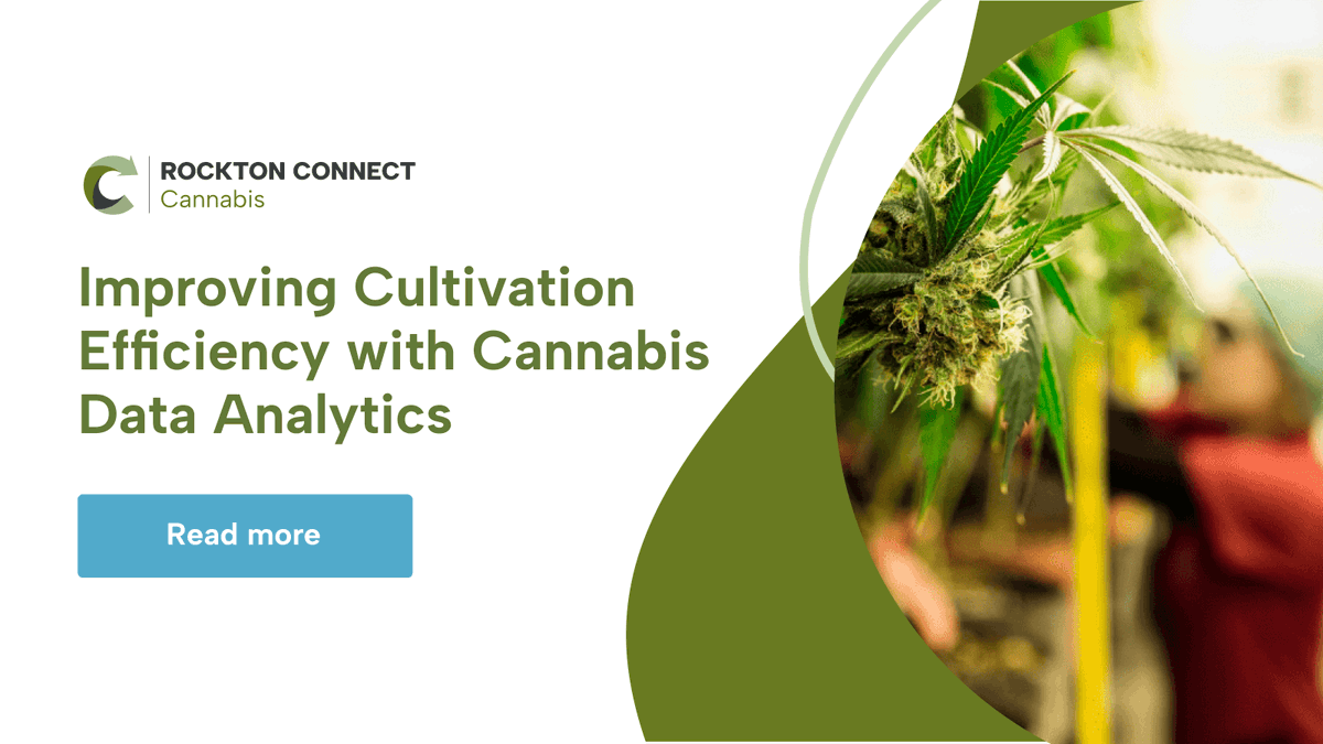 NCIAorg's tweet photo. Cannabis analytics can help:
✅ Identify connections between processes and results
✅ Make informed business decisions
✅ Optimize operations
Why is the cannabis industry — something that relies on scientific excellence — playing catch up? https://t.co/5ZS3xJfY6K
#MemberMessage https://t.co/RtjIZ03uaD