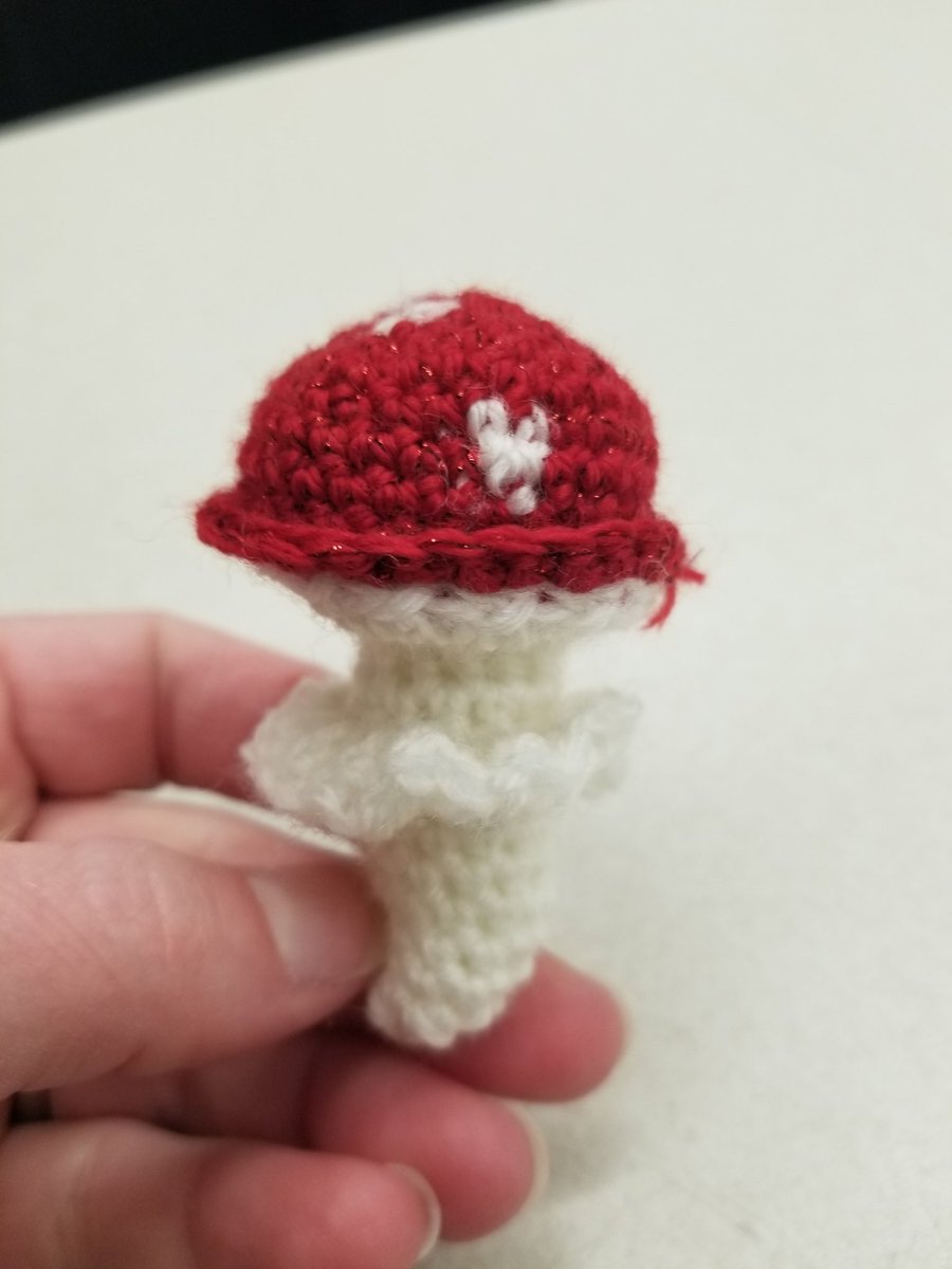 UMKC_EarthEnv's tweet photo. To discuss a paper on insect agriculture a student brought crocheted mushrooms to get colleagues to interact with new topic. https://t.co/CovfI5S9pD