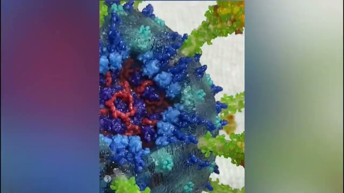 BiologicModels's tweet photo. Up close video of our 3D printed #SARS-CoV2 Virion. Link to purchase a #3Dprint in the video description via @caseysteffen @objexunlimited #biologicmodels
https://t.co/M6v8ly2mio https://t.co/4nFPptAAvb