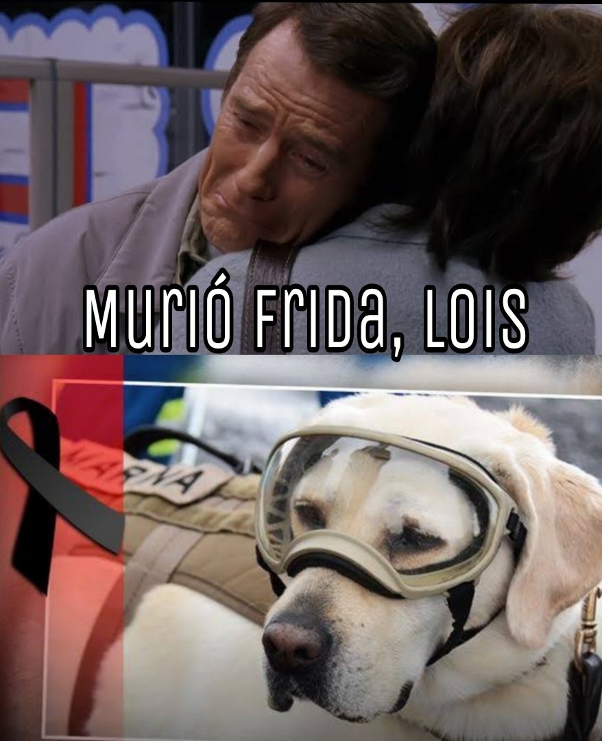 soylachata's tweet photo. #HastaSiempreFrida 💔.      ¡Gracias por todo #Frida! 🐕👼 https://t.co/hXEXHX2TlB