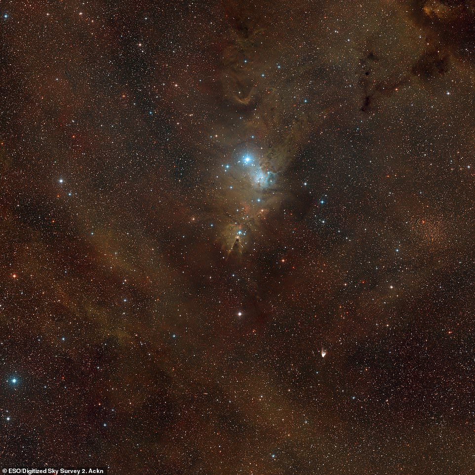 TheNorskaPaul's tweet photo. The European Space Observatory #ESO release image of #ConeNebula a star-factory about 2,500 light-years from Earth 

The seven light-year long pillar of the Nebula is part of a region called NGC 2264 &amp; discovered in late 18th century by astronomer William Herschel. 🪐🌏 https://t.co/Dv1p7yFfbf