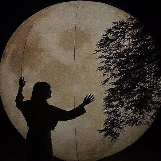 filhas_lua's tweet image. Lua que me faz companhia
Lua agora vai me guiar
Vou seguindo no meu caminho
Seja em terra, seja no mar