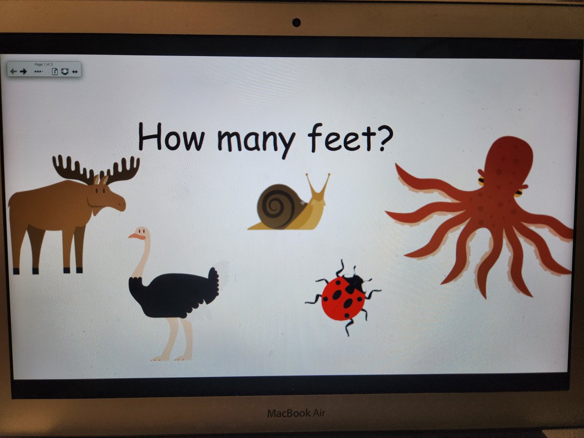 Mr. MacDonnell's Grade 1/2 tweet media