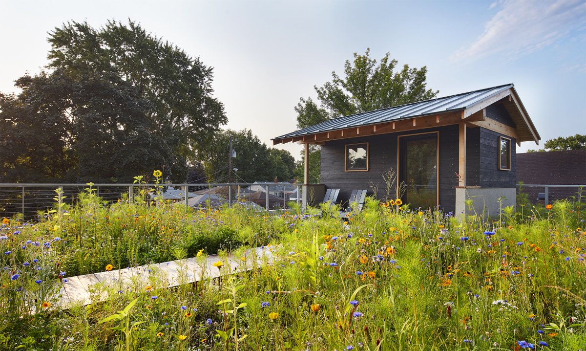 OmniEcosystems's tweet photo. If you’ve been following us, you probably already know that #omniinfinitymedia was used in all three of this year’s top green roof awards across North America. Check our new our blog for more details about our #WinningProjects and Green Roofs for Healthy Cities. https://t.co/SBfPn7eCO4