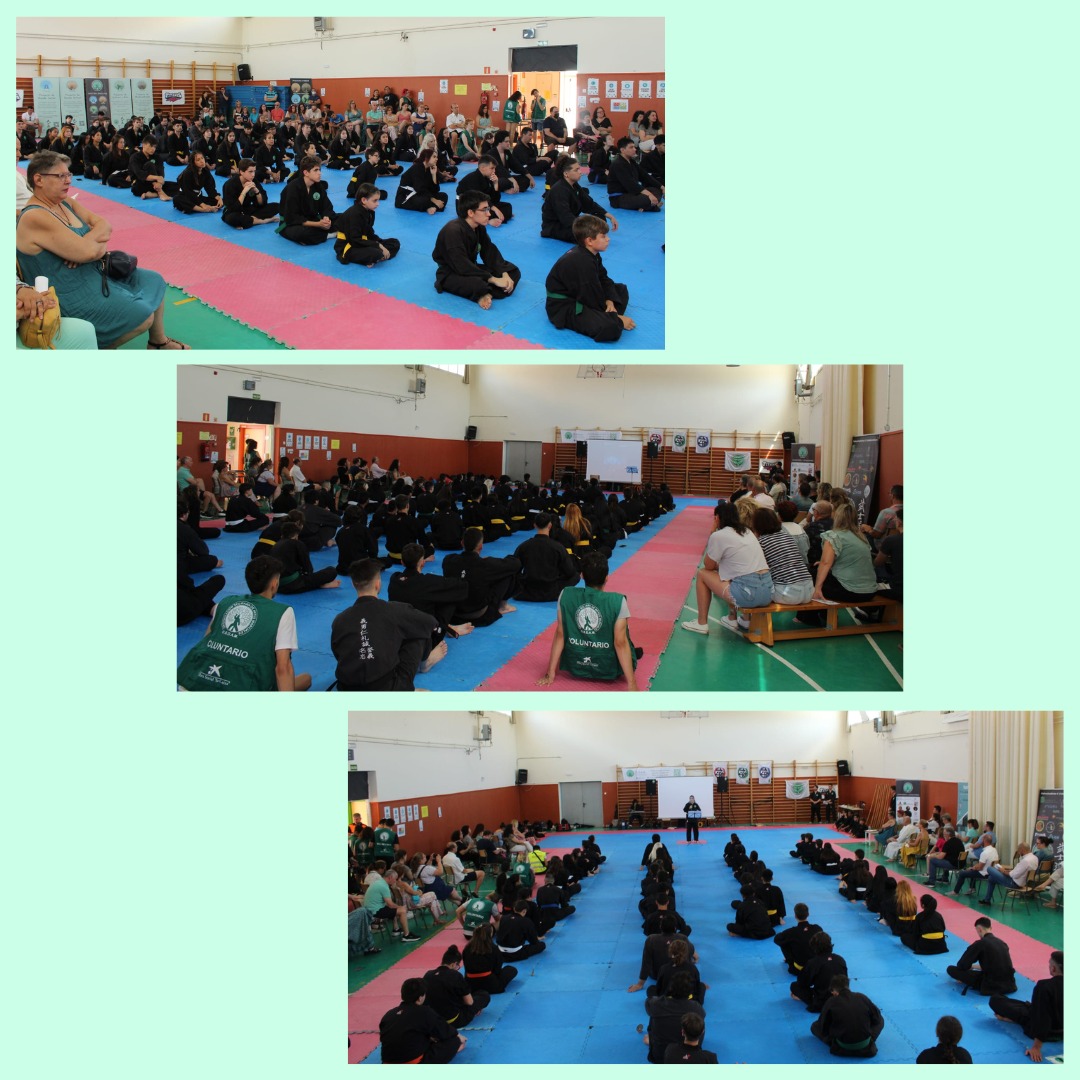 OSDAM_org's tweet photo. Fotos de la asamblea y cierre de temporada 2021-22! Fue un gran evento!
#osdam #artesmarciales #voluntariado #clasesgratis https://t.co/QBe8SoCFn4