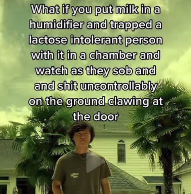 Wild TikToks tweet media