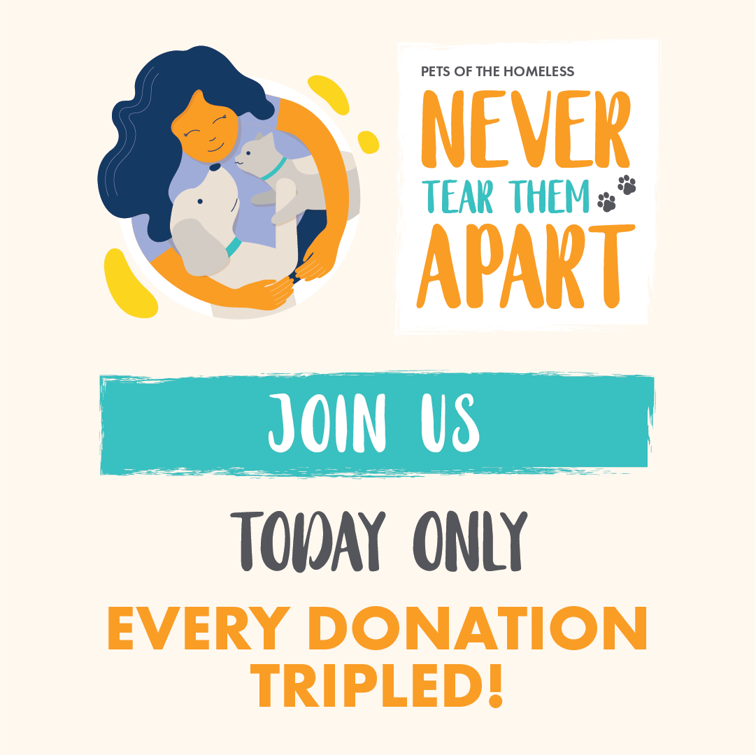 OzDogLover's tweet photo. #PetsoftheHomeless Giving Day is now underway! Today only, your financial donation will be TRIPLED by generous matchers.
With rising costs of living, please give to ensure they can help even more struggling #petowners in our community. #NeverTearThemApart

https://t.co/Sfx4UHyxv2 https://t.co/L9XzVz2A7D