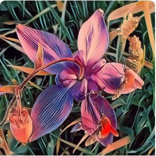 ArrietansonNFT tweet media