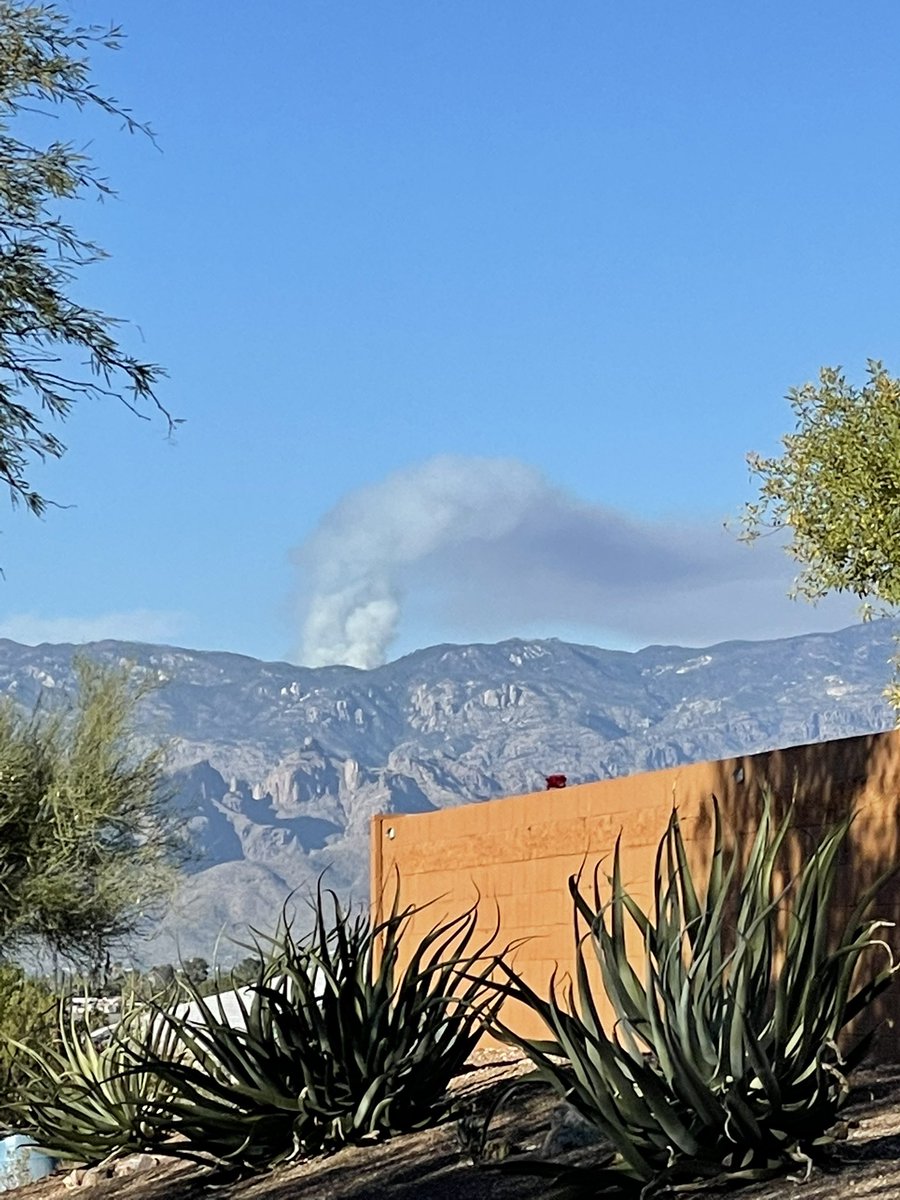 Radioleslie's tweet photo. Immm, fire on Mt. Lemmon?? @whatsuptucson you know anything? https://t.co/kywCHXXqX1