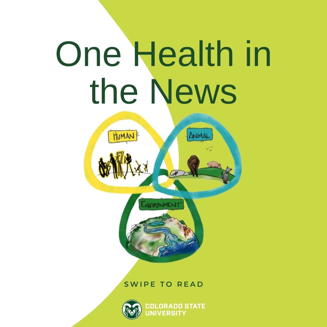 onehealth_csu's tweet photo. CSU has some exciting news this week! Enjoy these One Health headlines from the past week!
#onehealthinstitute #onehealthcsu #onehealthnews
https://t.co/wop3NGObqF
https://t.co/1ZijZnKfzt
https://t.co/4AdDnpJNoQ
https://t.co/FAD1Bk6ty1
https://t.co/h3pdToo73f https://t.co/YAaAuYIZ5p