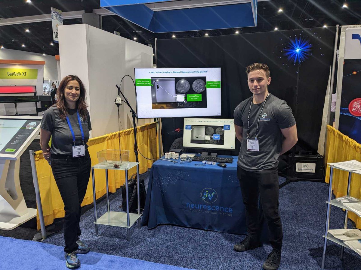 Rewire AI tweet media