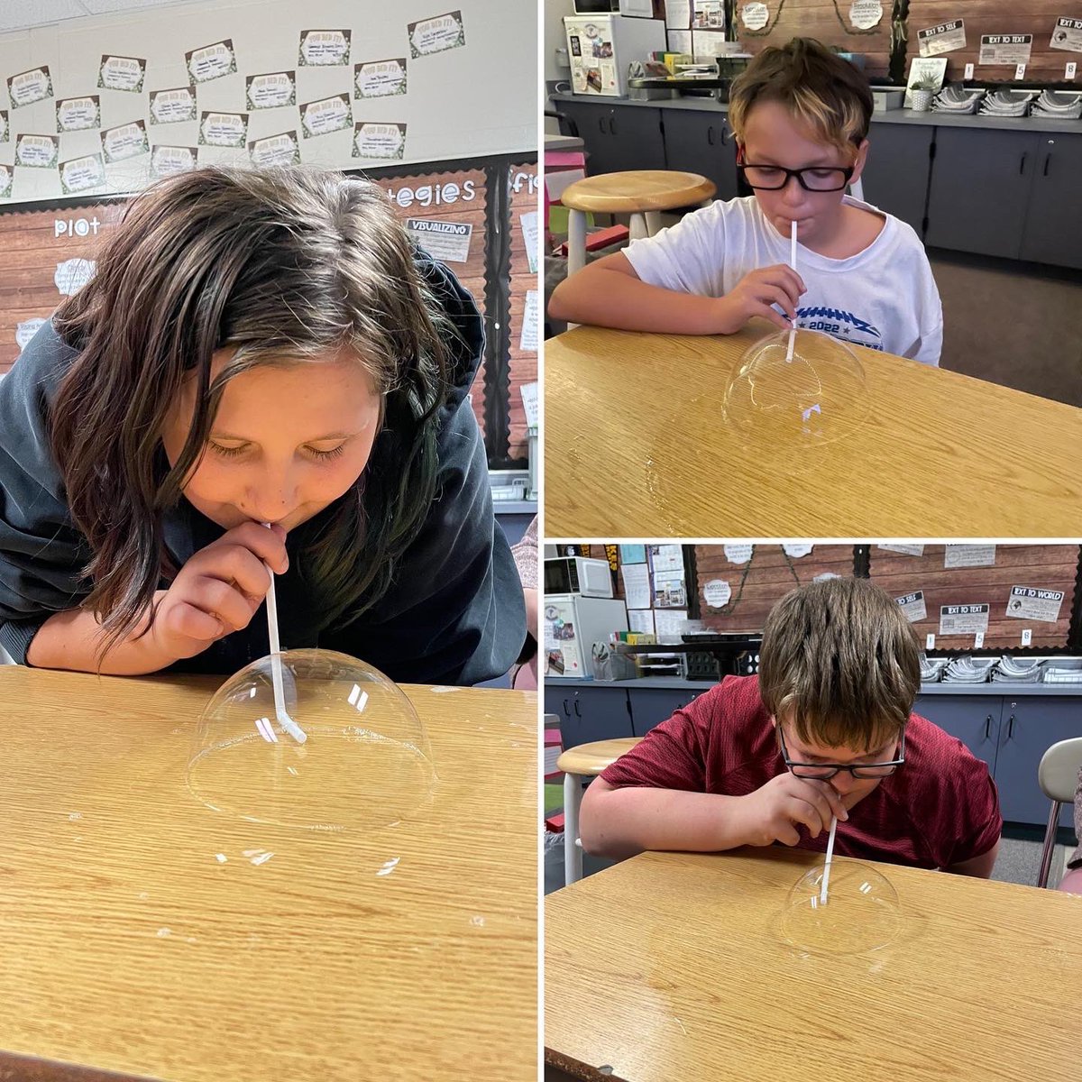 Mrs. Brittany Herr tweet media