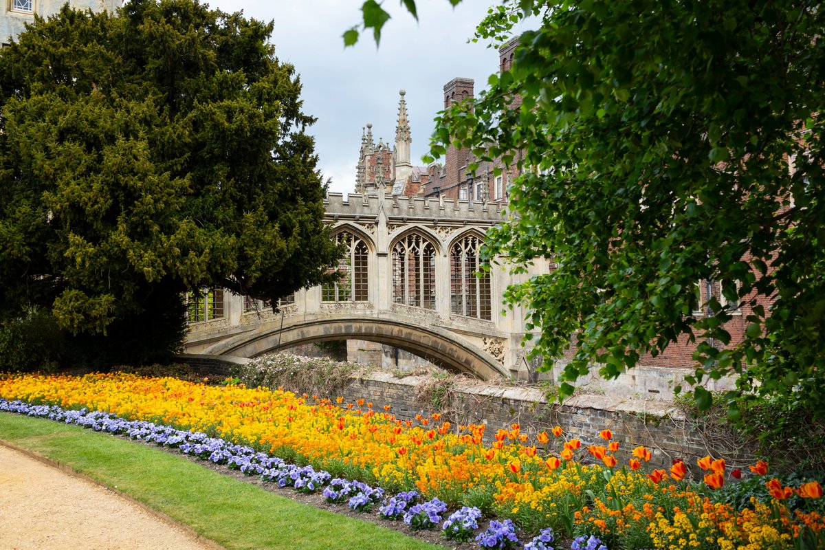 stjohnscam's tweet photo. Do you fancy being paid to walk over the Bridge of Sighs? Come and work at St John's! 

🛑Business Solutions Developer
💰Up to £42,155
👉https://t.co/JDd0buYi1L

🛑Exec Assistant
💰Up to £42,823 
👉https://t.co/gzxLkjp84V

🛑Exec Chef
💰Up to £57,401
👉https://t.co/881ll1ZUSN https://t.co/13k3eIg2Fn