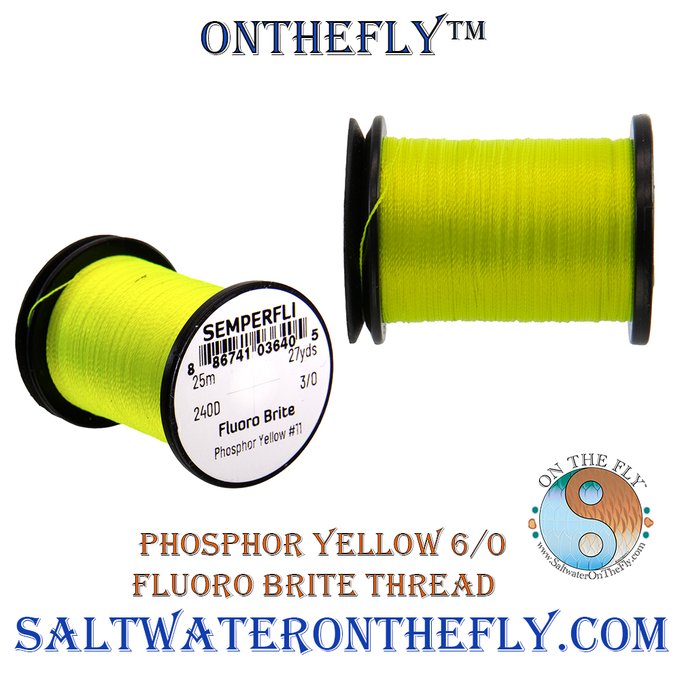 Saltwater on the Fly tweet media