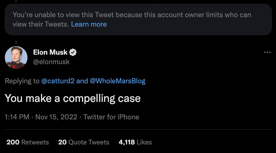 I am blocked by a man named CatTurd2 on the internet, making it considerably harder for me to figure out the business strategy of the richest man in the world.