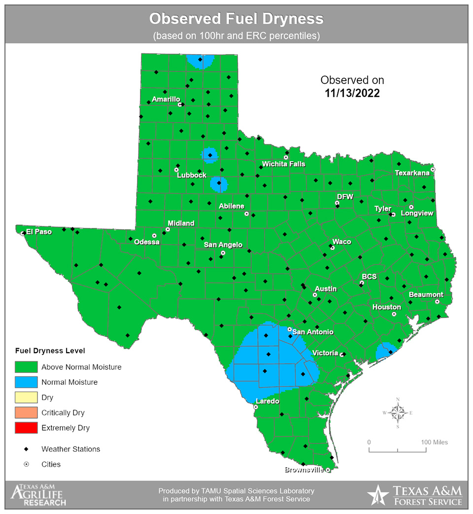 Image of the map of Texas showing observed fuel dryness throughout the state.