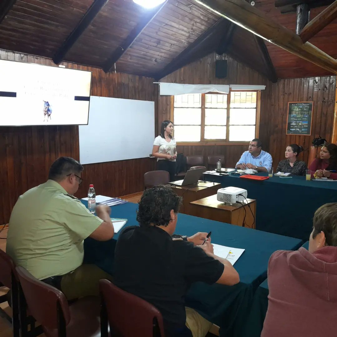 codeffchile's tweet photo. Fauna silvestre: Integrantes de #CODEFF en el Maule participaron activamente de la reunión ampliada del Comité Regional de Conservación, instancia en la que participaron organismos públicos y privados con el objetivo de promover la protección y conservación del Pudú en la región https://t.co/D2YDKQ9HTZ